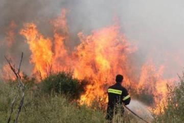 Υπό έλεγχο δύο πυρκαγιές σε Μονή και κοντά στον Ακάμα