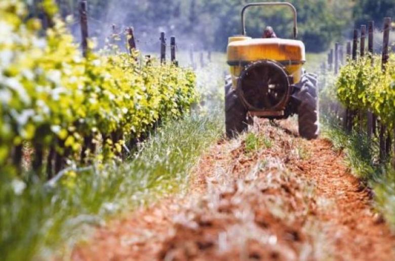ΚΟΑΠ & Υφ.Τουρισμού: Προτάσεις για στήριξη αγροτικής οικονομίας